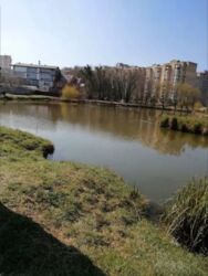 ������ 2-� ������� � �.��� ���� 11