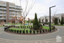   , , ,  Green Land  9