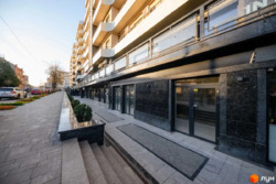   , , ,  Dream City,    14