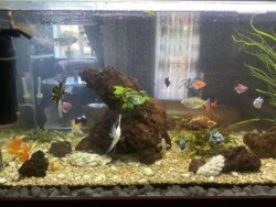 Продається квартира Закарпатська, Ужгород, Центр, Робоча фото 10 Продається квартира Закарпатська, Ужгород, Центр, Робоча фото 10