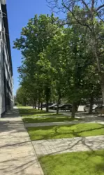 Продаж 1 кімнатної квартири. Ужгород. фото 2 Продаж 1 кімнатної квартири. Ужгород. фото 2