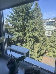 Продається квартира Ужгород, Закарпатська фото 8 Продається квартира Ужгород, Закарпатська фото 8