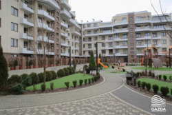   , , ,  Green Land  8