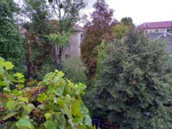 Продаж 3 кімнатної квартири. Ужгород. фото 1 Продаж 3 кімнатної квартири. Ужгород. фото 1