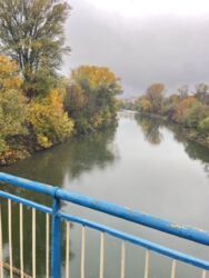 ������ 2 ������� ��������. �������. ���� 4