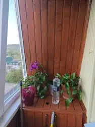 ������ 2-������� �������� ���� 4