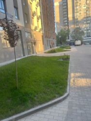 Продається квартира Запорізька, Запоріжжя, Олександрівський, Малий ринок, Поштова вулиця фото 8 Продається квартира Запорізька, Запоріжжя, Олександрівський, Малий ринок, Поштова вулиця фото 8