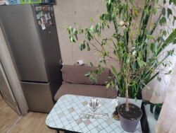 ������ ����������� �������� �� ���. ��������� ���� 2