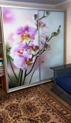 ������ 3� ������� �������� � ����������� ������ ���� 4