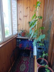 Продається квартира Центральний бульв., 27, Запоріжжя, Запорізька, Вознесенівський фото 9 Продається квартира Центральний бульв., 27, Запоріжжя, Запорізька, Вознесенівський фото 9