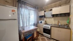 Продається квартира Запорізька, Запоріжжя, Заводський, Павло-Кічкас, Компресорна вулиця фото 10 Продається квартира Запорізька, Запоріжжя, Заводський, Павло-Кічкас, Компресорна вулиця фото 10