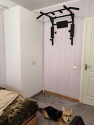 ��������� �������� ��������, 133, ��������, ���������, ��������������� ���� 14