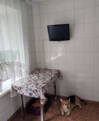 ��������� �������� �������� ��������, 133, ��������, ���������, ��������������� ���� 17