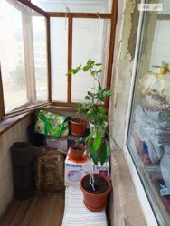 ��������� �������� ���������� ������ ������, 19, ��������, ���������, ������������, ������������ ���� 2