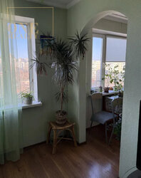 ��������� �������� �������, ���, �����������, �. ����� ������ ���� 4