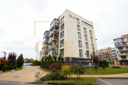 ��������� �������� ���, ����������, ����� ��������, 14�, �. ̳����� ���� 24