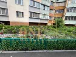   , ,  볿, 5  31