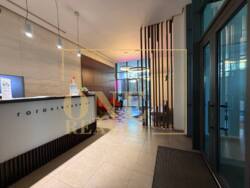 ����������, ��������������� �������� � ������� ����� ���� 43