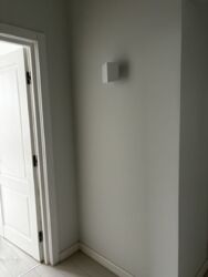   , , ,  , 55,  11  19