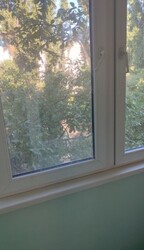 Продам 1-комнатную квартиру с косметическим ремонтом в Киевском районе. фото 7 Продам 1-комнатную квартиру с косметическим ремонтом в Киевском районе. фото 7