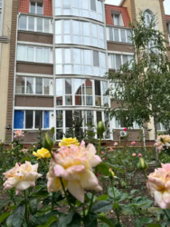 Продається квартира Одеська, Одеса, Київський фото 1 Продається квартира Одеська, Одеса, Київський фото 1