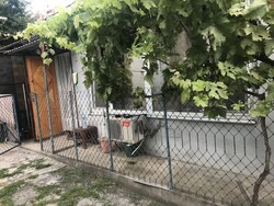 2-������� � ���� ������������� ��������, �������� �� ����������� ���� 1