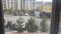 3-комнатная на Зоопарковой! Первый этаж! От строителей! фото 3 3-комнатная на Зоопарковой! Первый этаж! От строителей! фото 3
