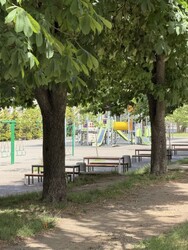ЖК «Золотые столбы»! 3 этаж! С ремонтом! фото 10 ЖК «Золотые столбы»! 3 этаж! С ремонтом! фото 10