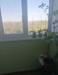 2-комнатная квартира в Радужном! Топ-цена! фото 7 2-комнатная квартира в Радужном! Топ-цена! фото 7
