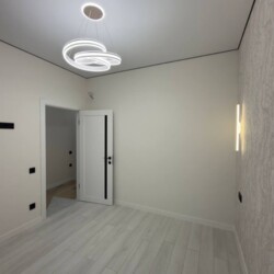 ��������� �������� �����, �������, ����������� ���� 3