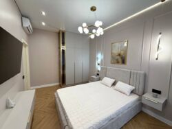 ��������� �������� ��������� ��������, 1�, �����, �������, ����������� ���� 10