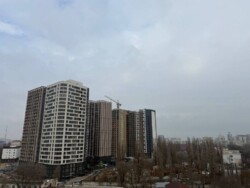 ��������� �������� ����� ������, 55, �����, �������, ����������� ���� 1