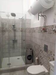 ��������� �������� ��������, 1, �����, �������, ����������� ���� 11