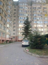 ��������� �������� ��������, �����, �������, �������� ���� 6