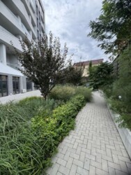 �� ������������ � ���� ������� �������� ���� 8