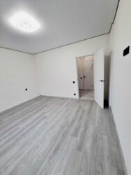 ��������� �������� �����, �������, �������� ���� 13