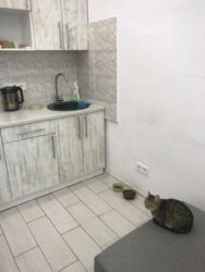 ������ �����-�������� �� ��������� ���� 6