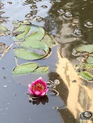 Продам квартиру в элитном комплексе у парка Шевченко ЖК «ВЕЛМАКС» фото 10 Продам квартиру в элитном комплексе у парка Шевченко ЖК «ВЕЛМАКС» фото 10