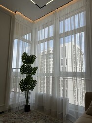 ��������� 1-������� �������� � ������������� �������� � �� �63 ������� � KADORR City ���� 7