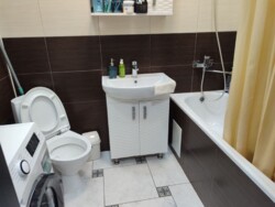 ��������� �������� �����, �������, �������� ���� 6