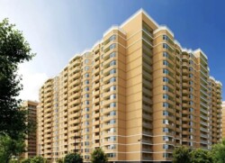 ��������� �������� �����, �������, ������������ ���� 2