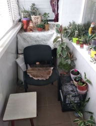 ������ 1 �� �������� �� ��������� ���� 8