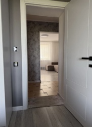 ��������������� ��������, ������������� ���� 20