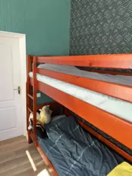 ������ 3������� �������� �� ������������� ���� 12