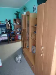 ������ 1 �� �������� �� ������������� ���� 3