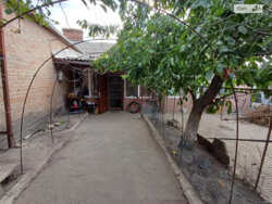 ��������� �������� �������������, ʳ������������ ���� 1