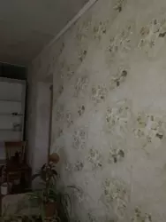 ������ 2 �� �������� �� ���������� ���� 9