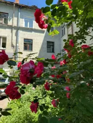 ��������� 4 ��� �������� � ����� ���� 8