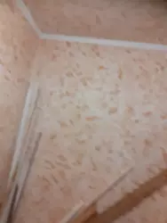 ��������� �������� ����������, �������������, ʳ������������, ���������� ���� 2