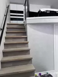 ������ ������������ ��������-���䳿 ���� 7